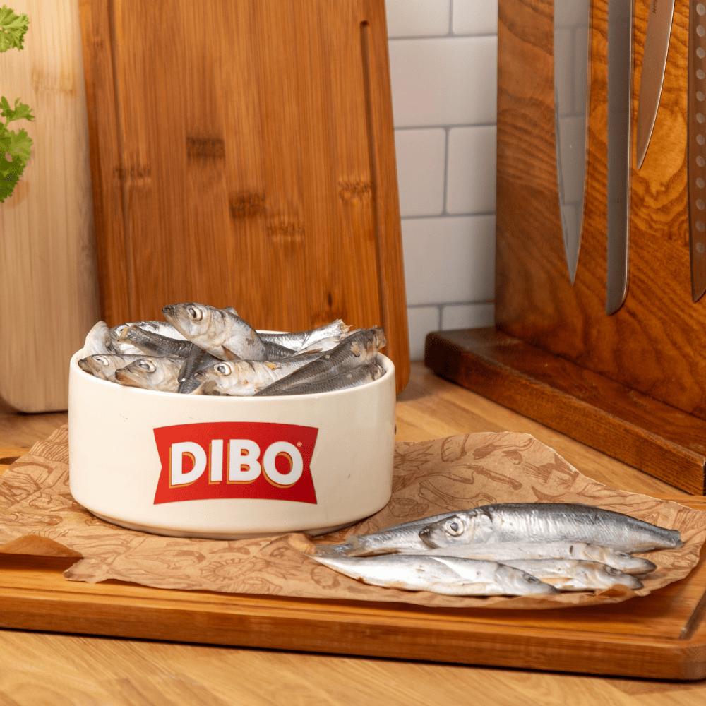 1KG Whole seasonal oily fish