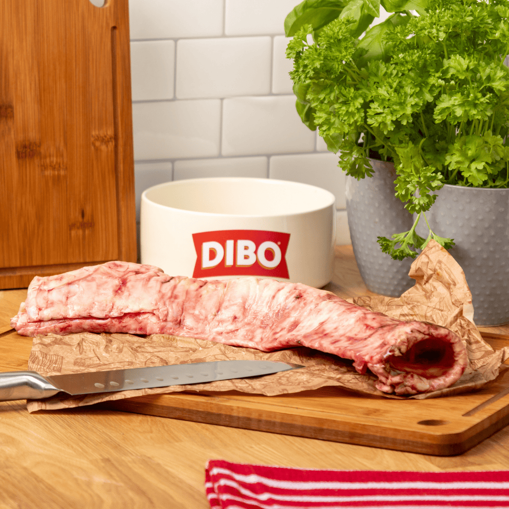 1 WHOLE Ox trachea NOT pieces, locally sourced