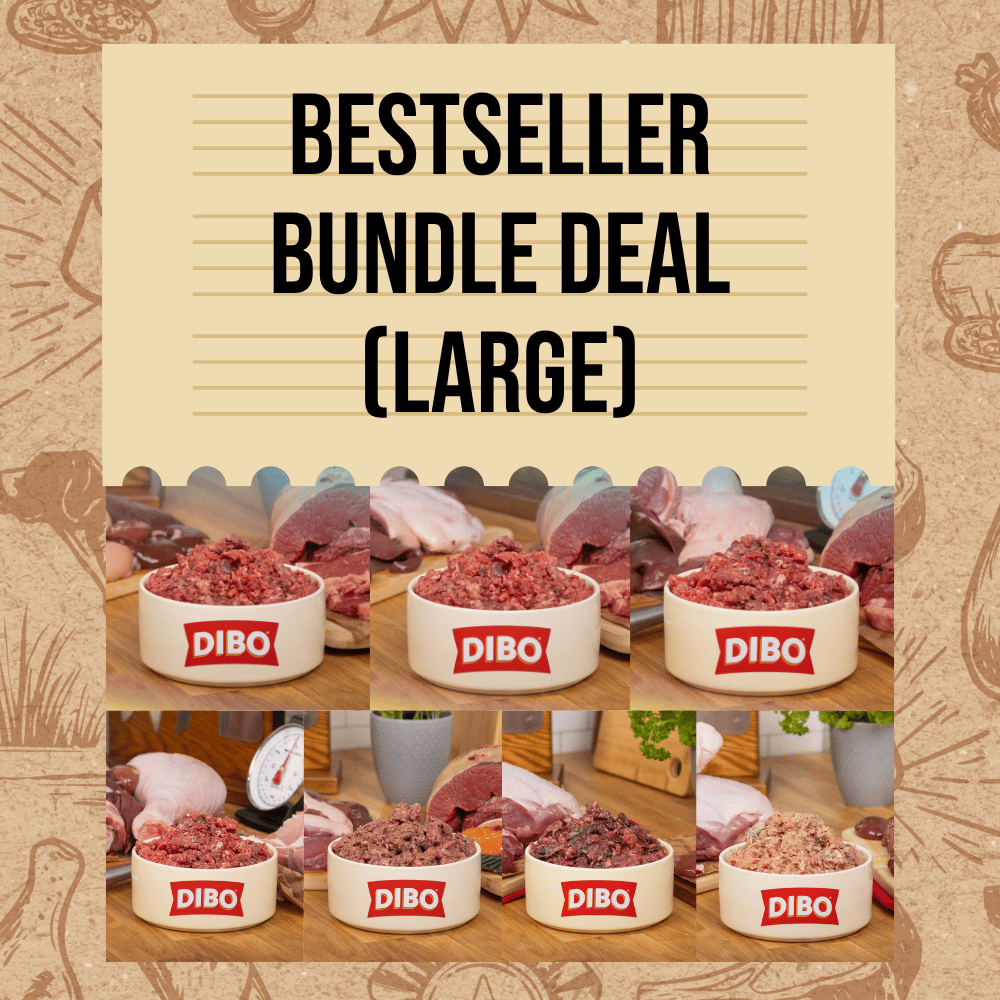 BEST SELLER BUNDLE (LARGE) - 35% off