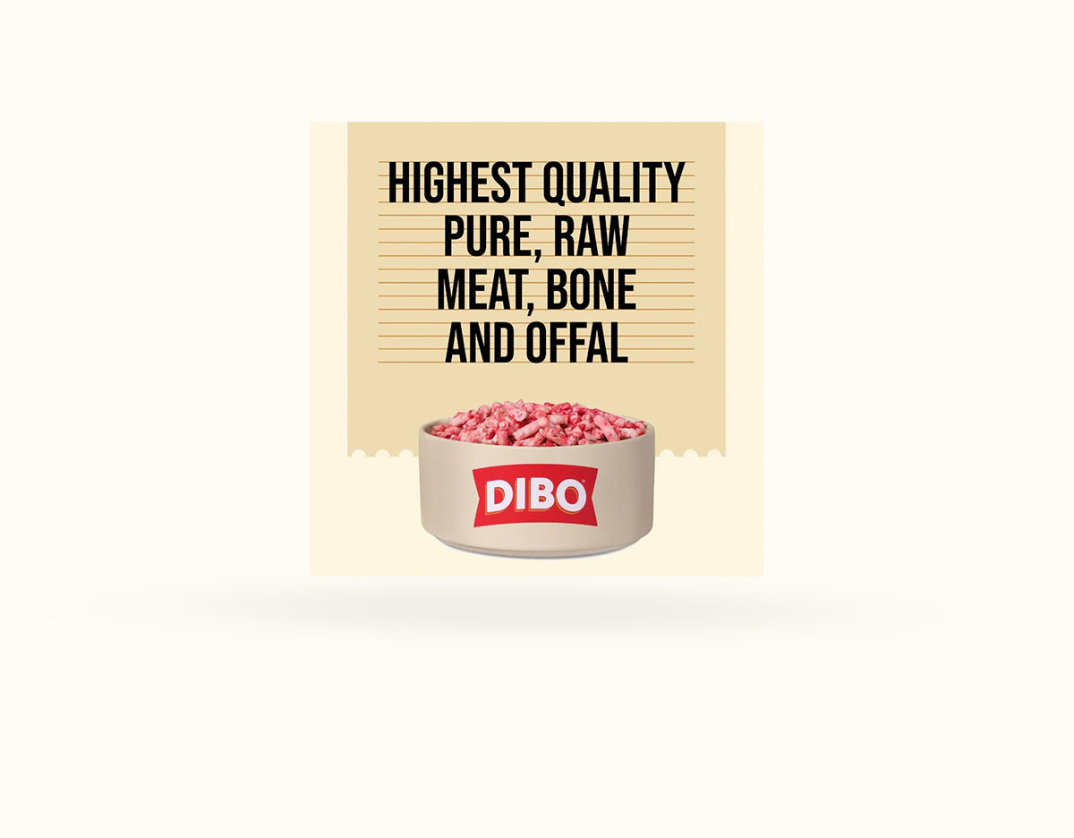 DIBO Free Flow Mince Lamb Mix 1kg - RRP £4.69