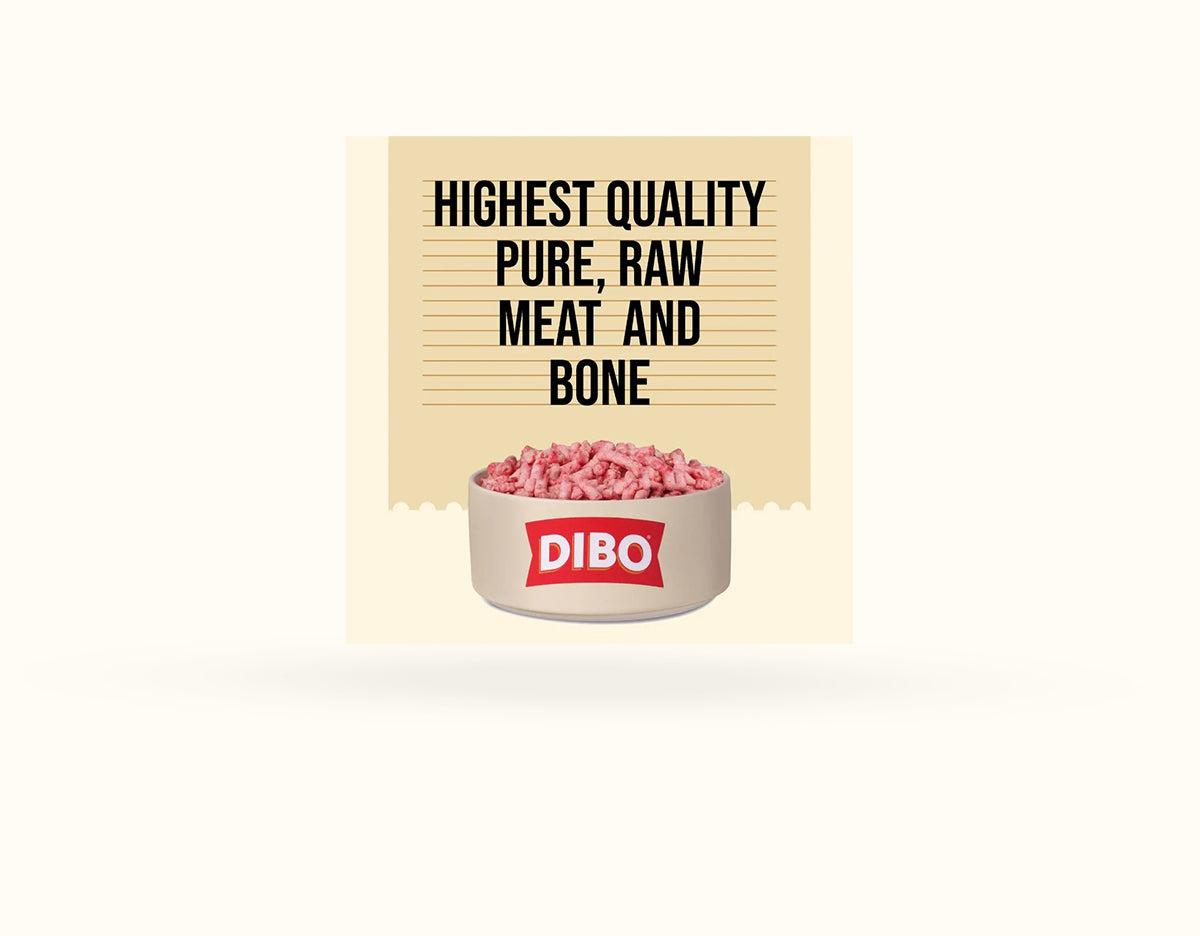 DIBO Free Flow Mince Turkey 90/10 1kg - RRP £4.19