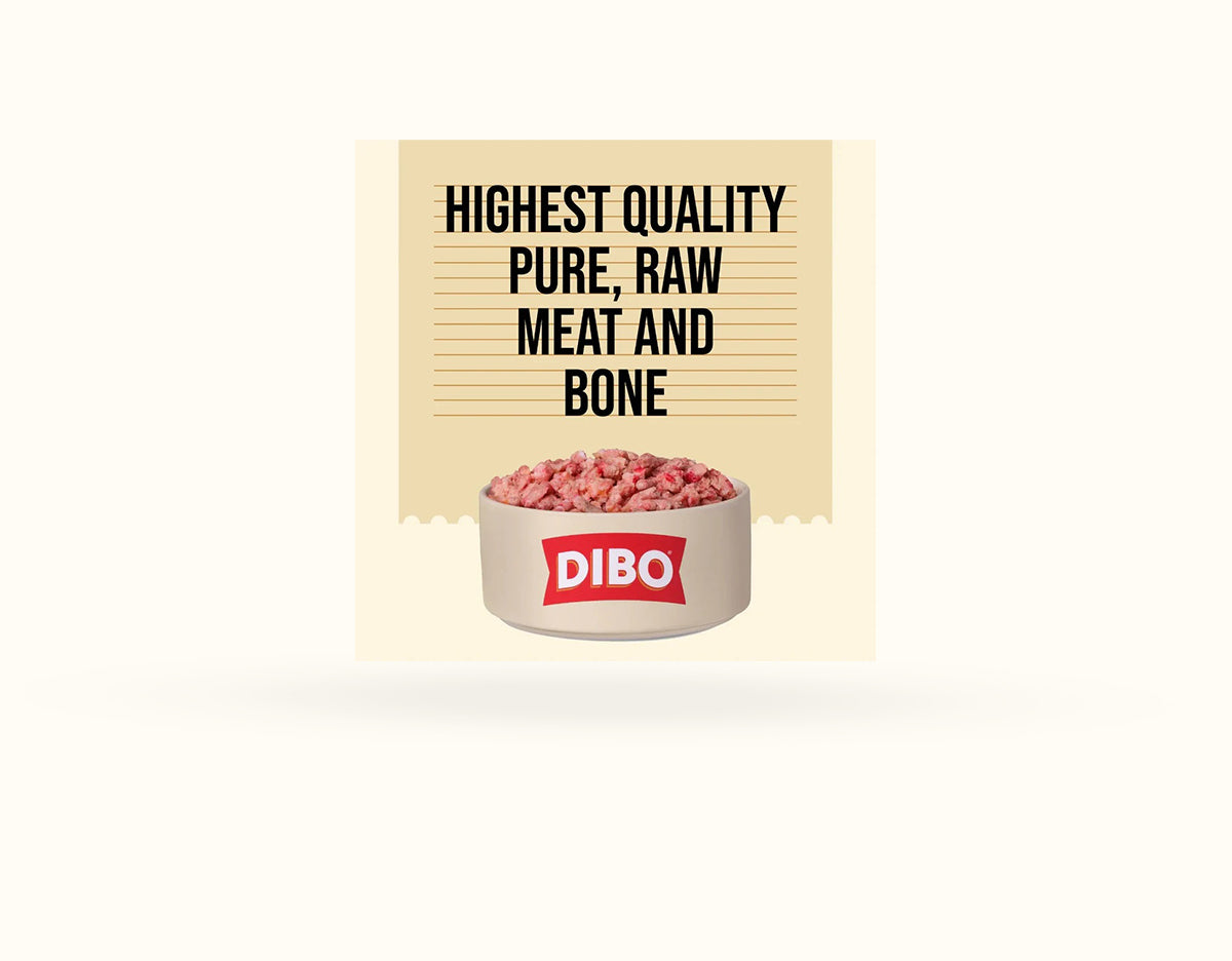 DIBO Free Flow Mince Turkey, Pork and Salmon 1kg - RRP £4.19