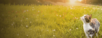 TDB B2B TDB B2B TDB B2B