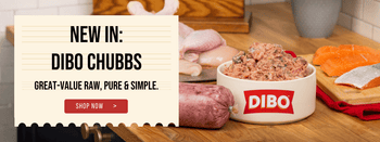 The Dogs Butcher B2B The Dogs Butcher B2B The Dogs Butcher B2B