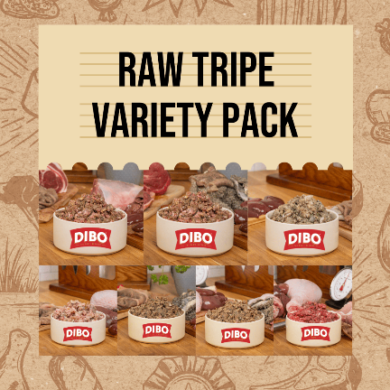 DIBO Finest Raw Tripe Minces 80:10:10 Bundle 49kg - 35% off