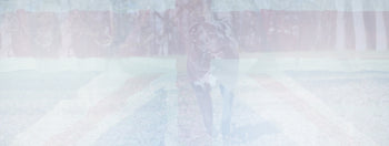 Premium quality british raw dog food for working dogs The Dogs Butcher B2B