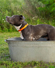 Downloadable Documents