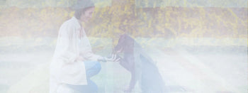 Try our Muntjac Deer chunks TDB B2B TDB B2B